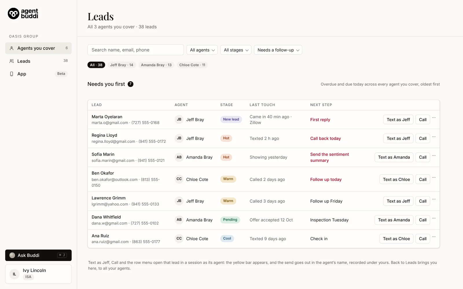 Leads for an ISA: one list across the three agents she covers, with an Agent column and a filter per agent